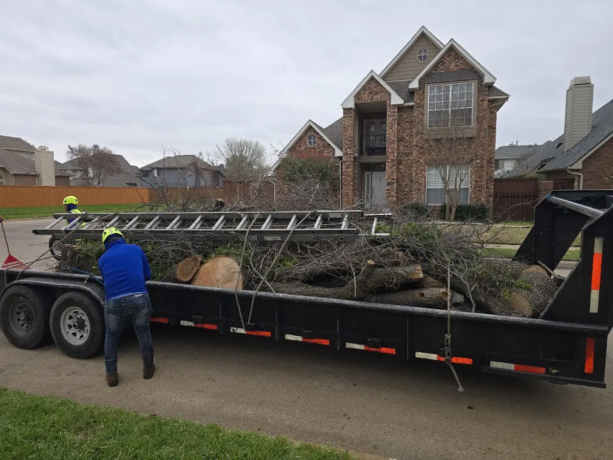 Expert Tree Fertilization with proper safety equipment in Jamestown